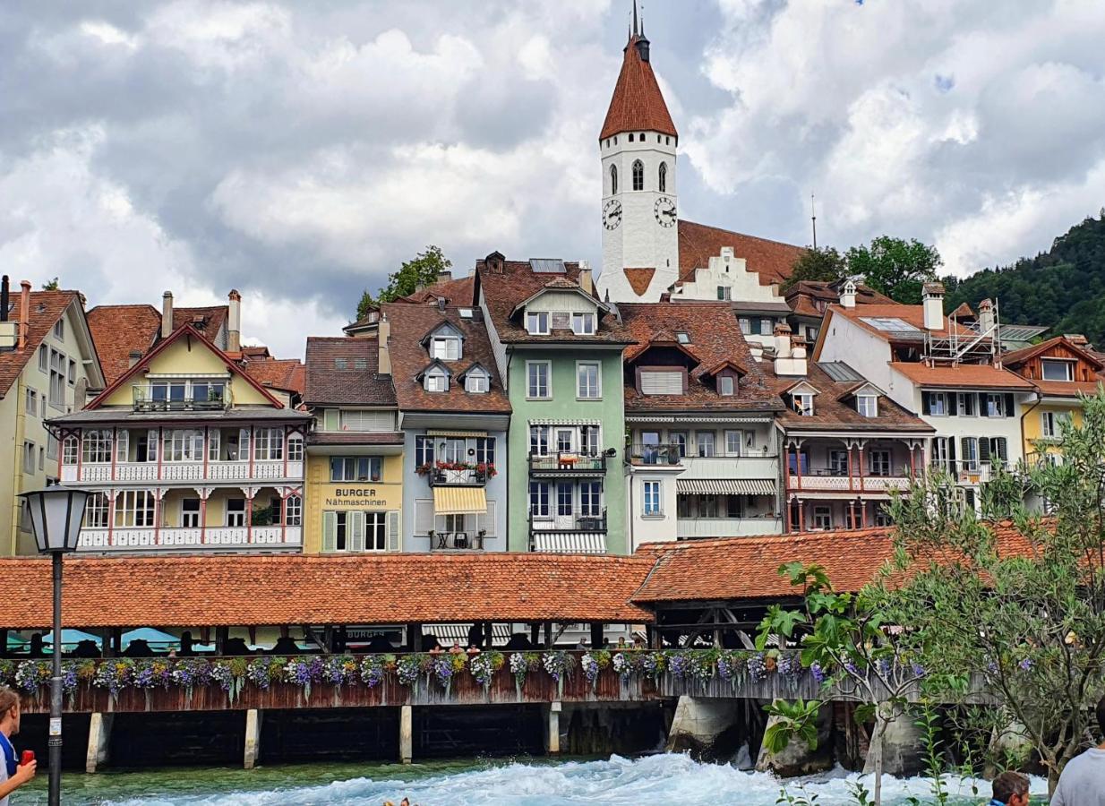 Chalet-gafri - Wilderswil