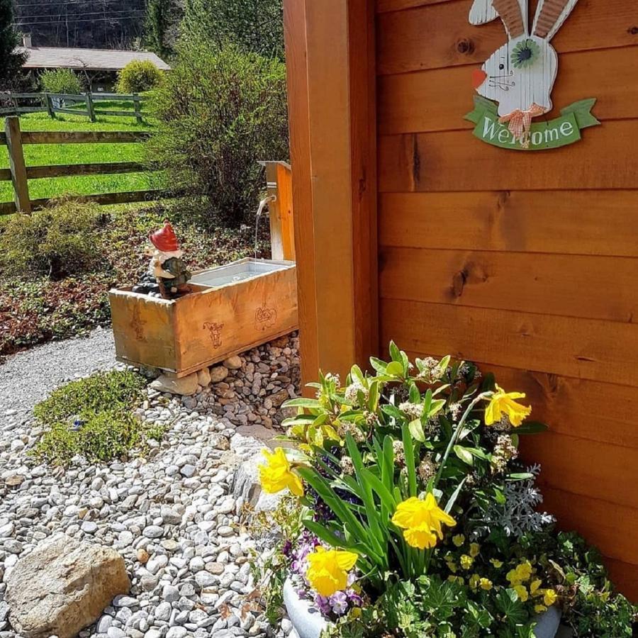 Chalet-gafri - 4* Wilderswil
