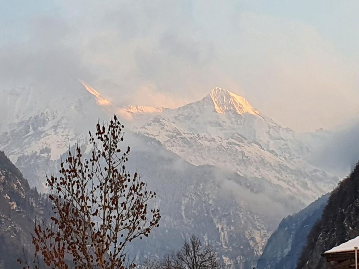 Frühstückspension Chalet-gafri - 4*