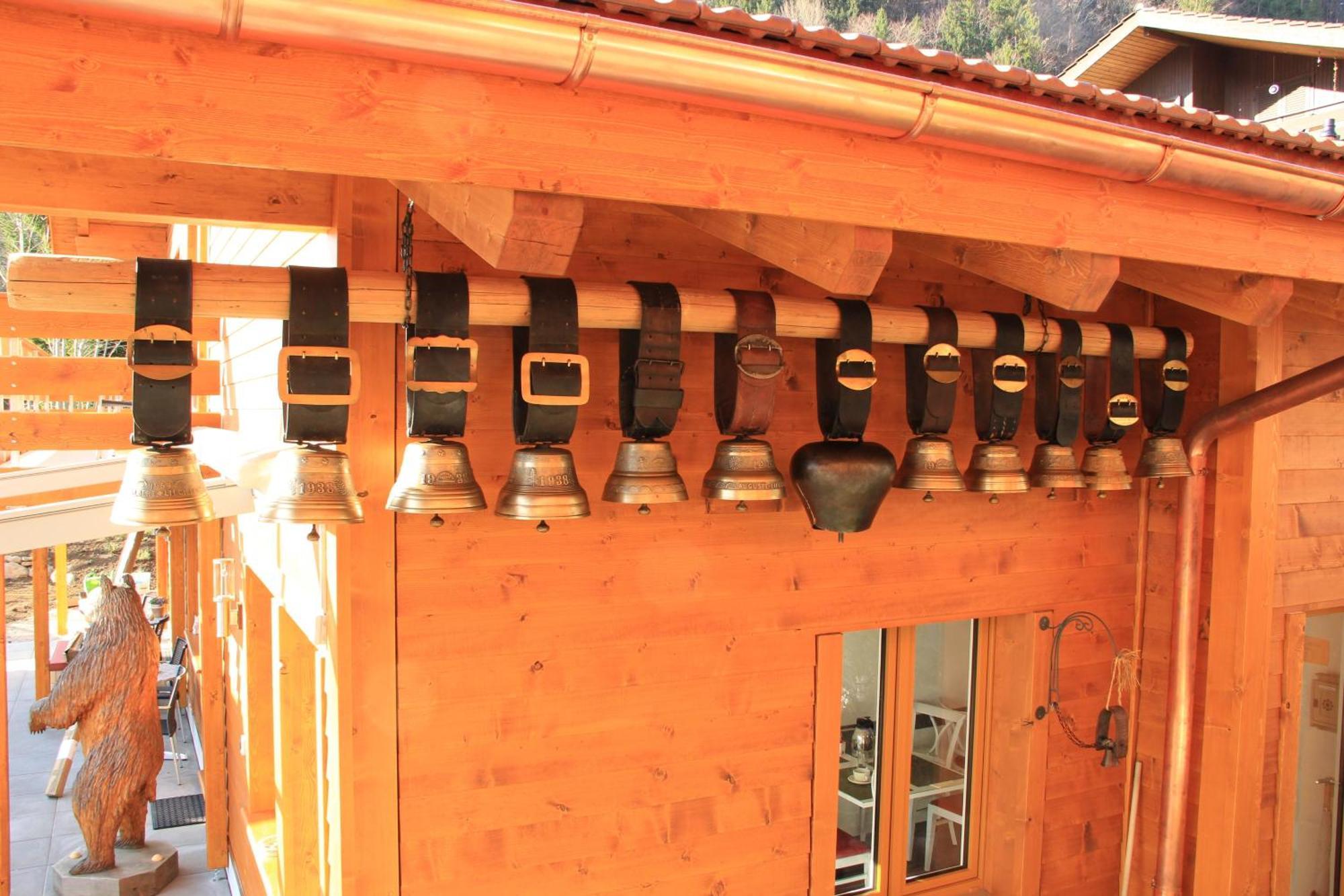 Chalet-gafri - Wilderswil