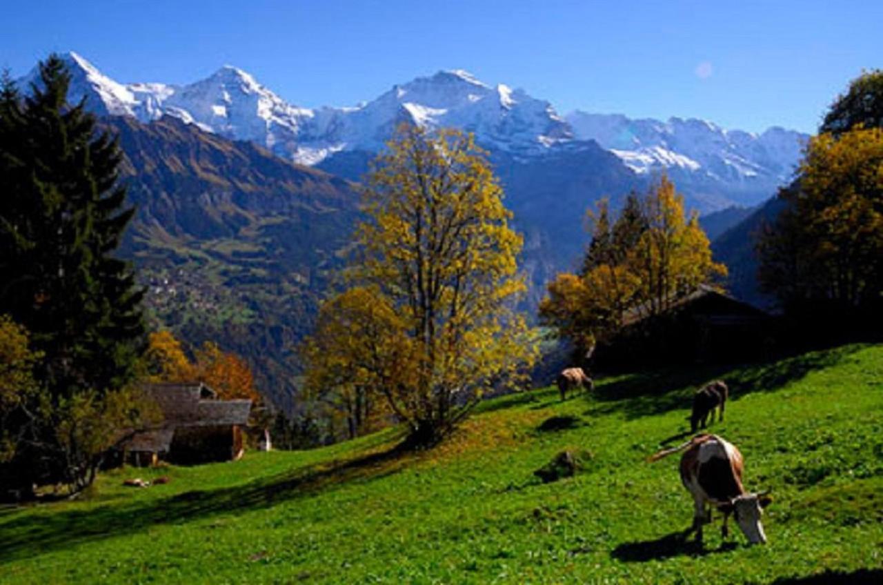 Chalet-gafri - Frühstückspension